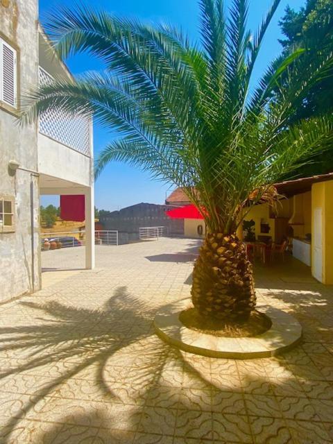 1955 Guest House Cebolais de Cima ภายนอก รูปภาพ